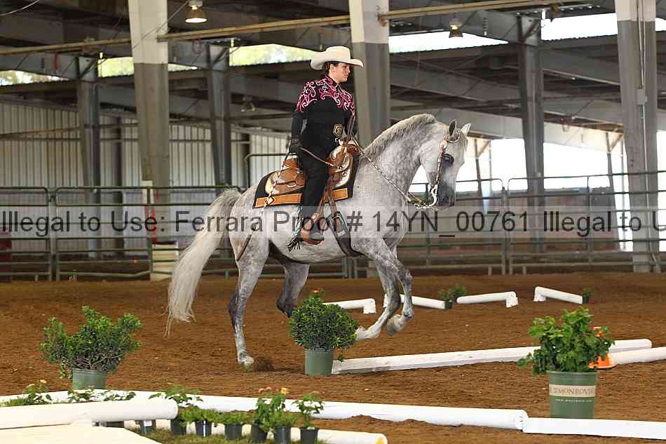 Proof 14yn_00761