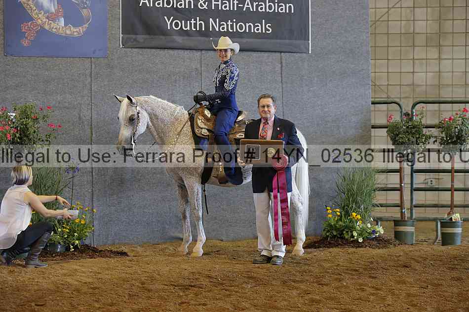 Proof 14yn_02536