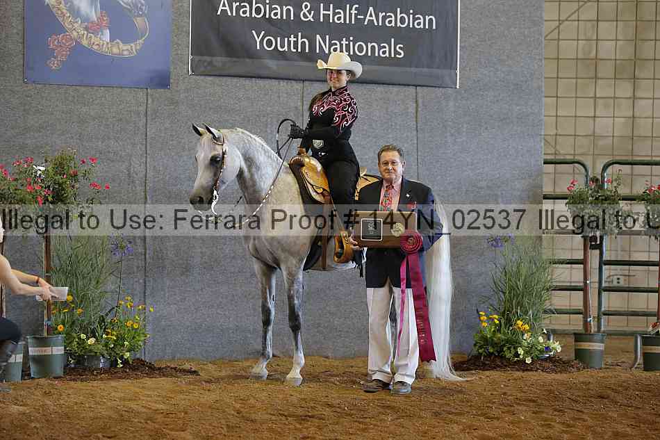 Proof 14yn_02537
