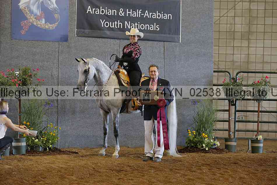Proof 14yn_02538
