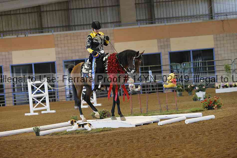 Proof 14yn_02549