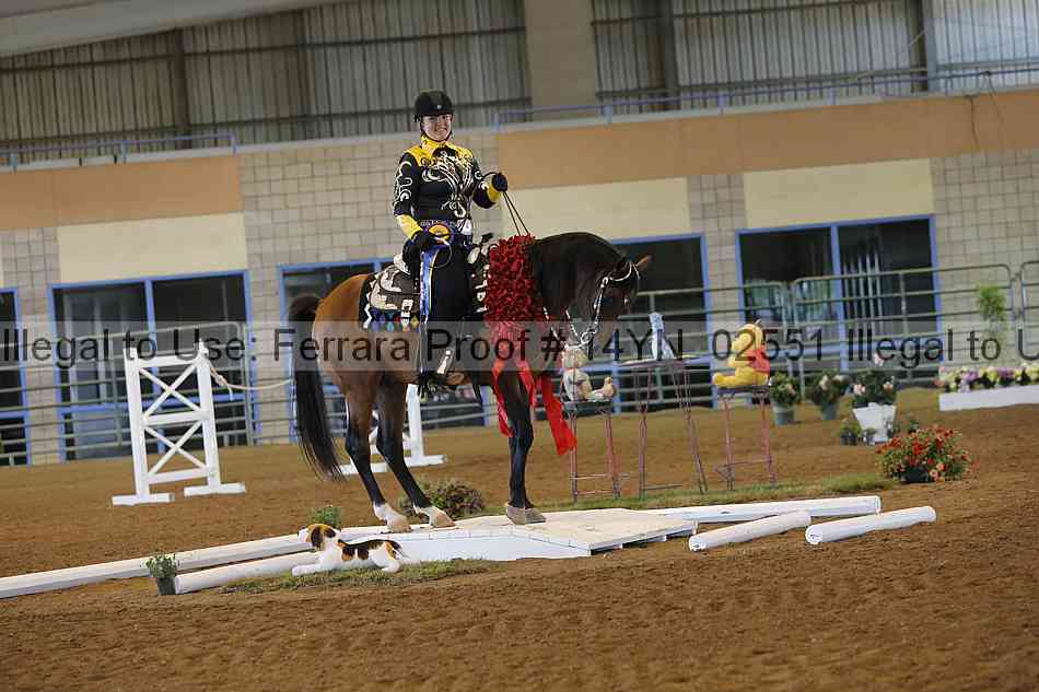 Proof 14yn_02551