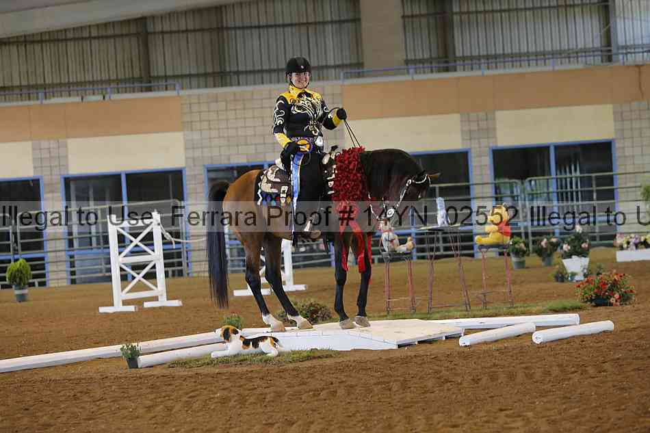 Proof 14yn_02552