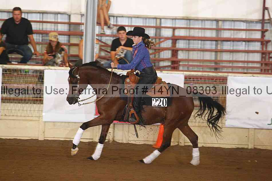 Proof 14yn_08303