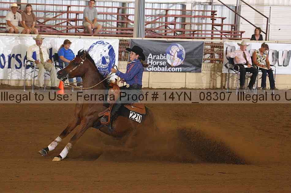 Proof 14yn_08307