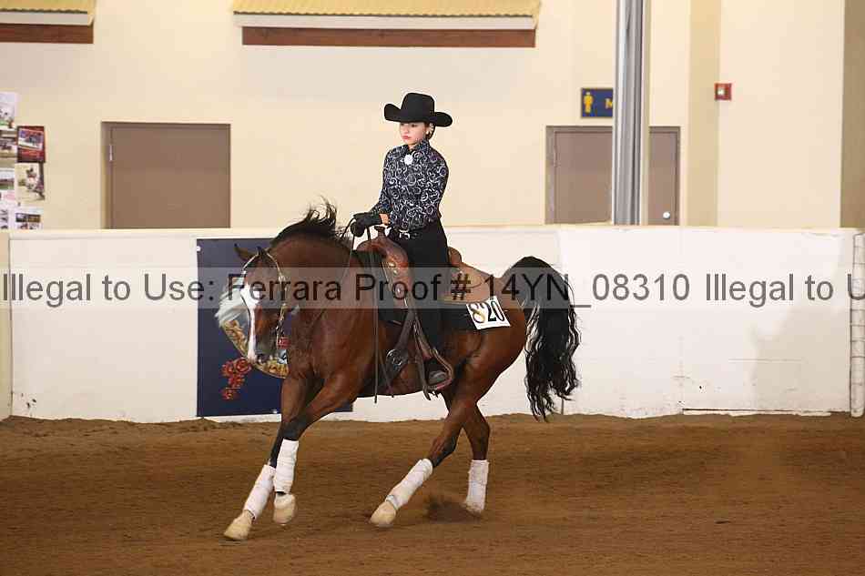 Proof 14yn_08310