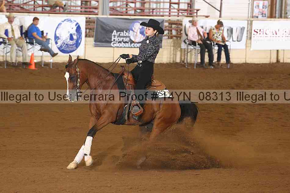 Proof 14yn_08313