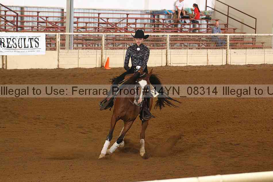 Proof 14yn_08314