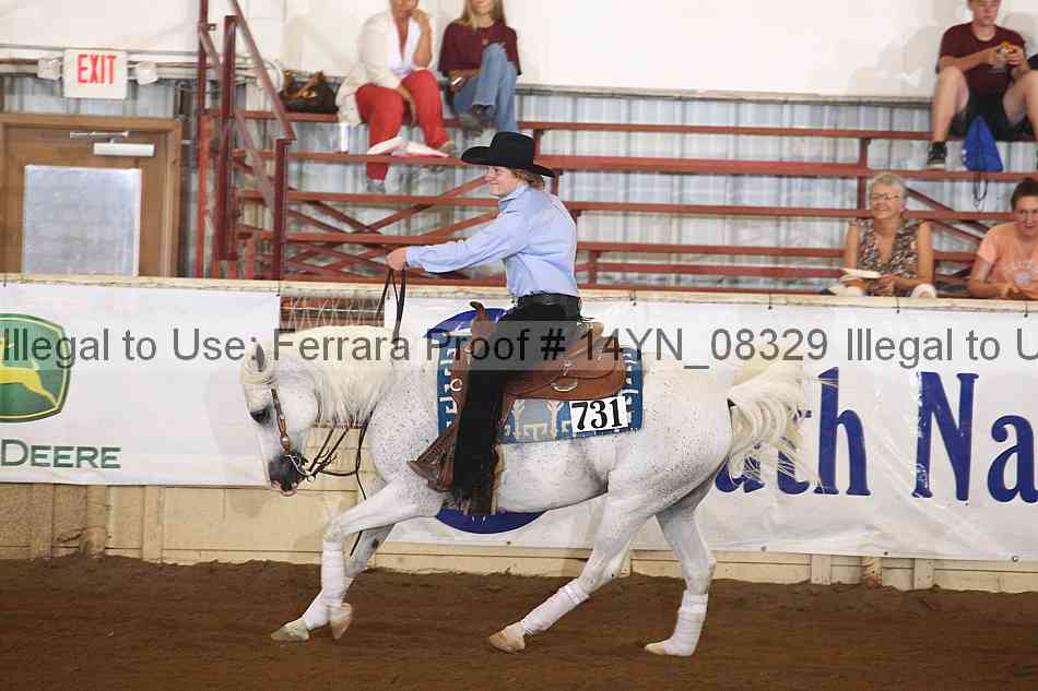 Proof 14yn_08329
