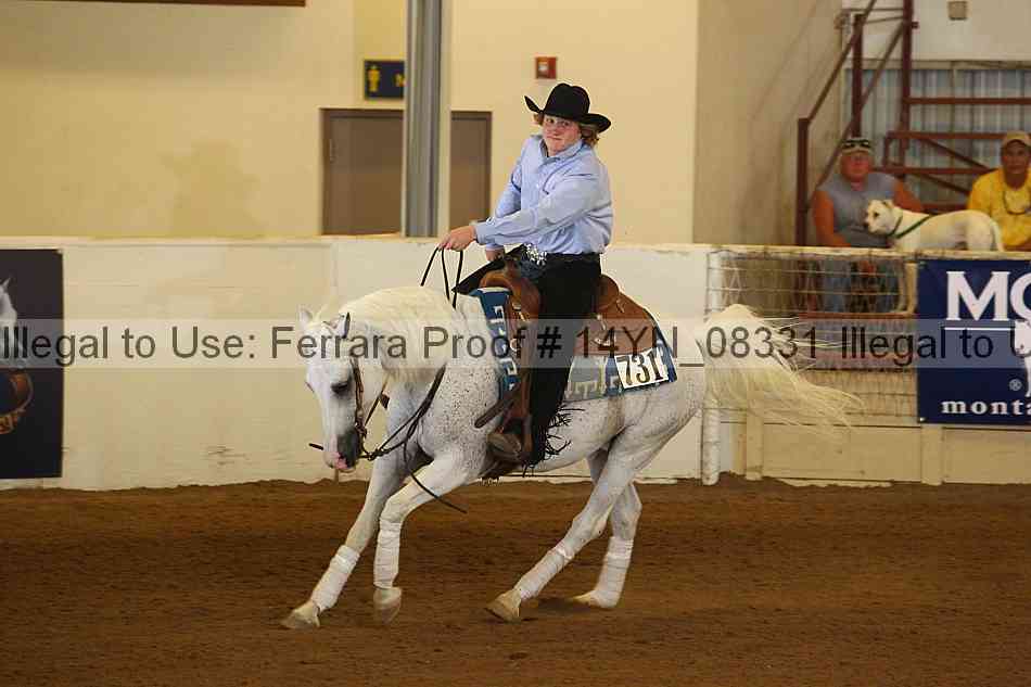 Proof 14yn_08331