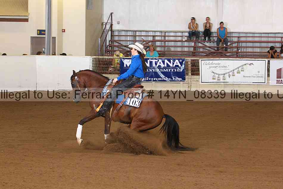 Proof 14yn_08339