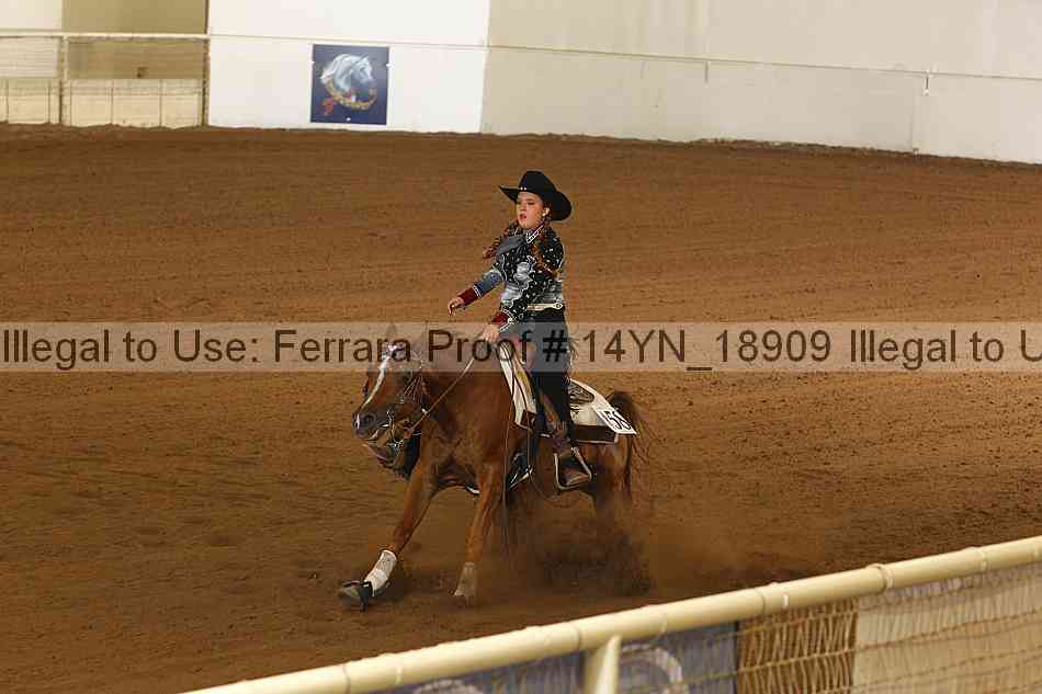 Proof 14yn_18909