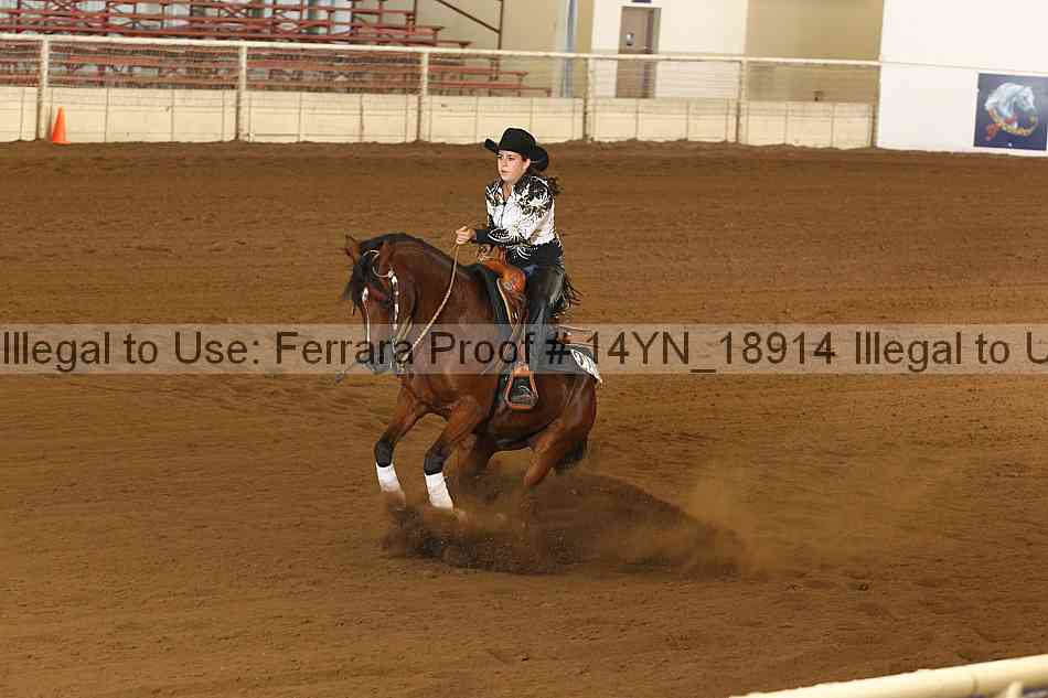 Proof 14yn_18914