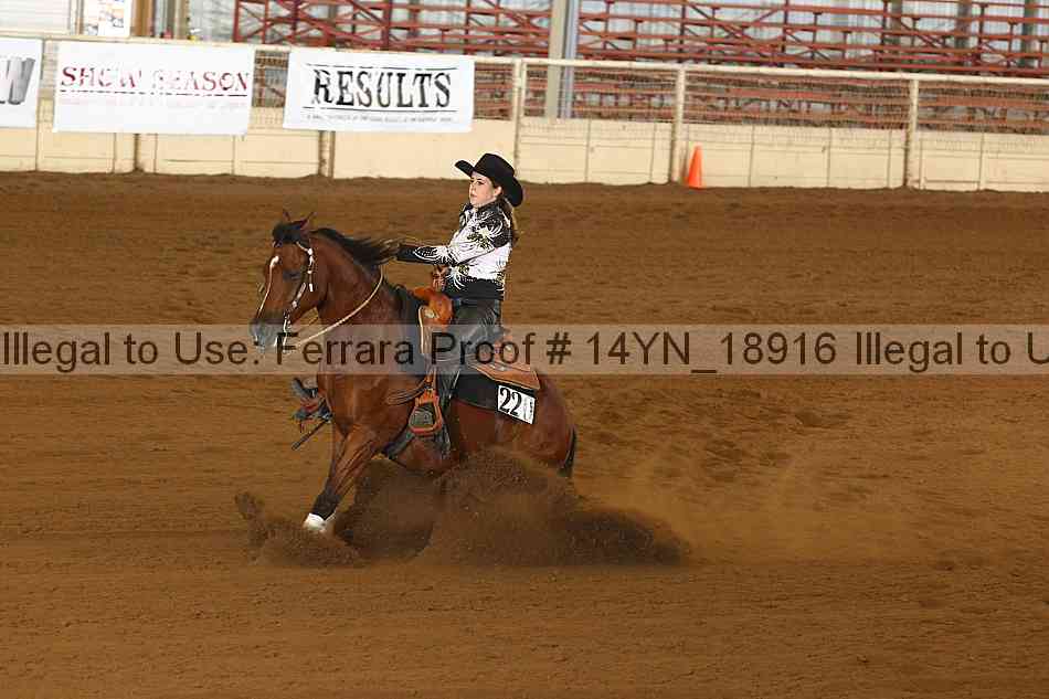 Proof 14yn_18916