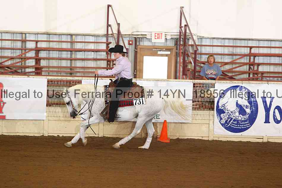 Proof 14yn_18956