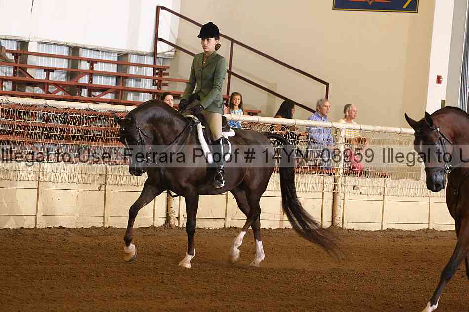 Proof 14yn_08959
