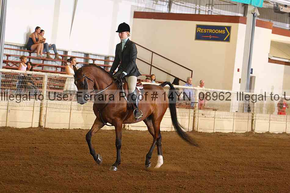 Proof 14yn_08962