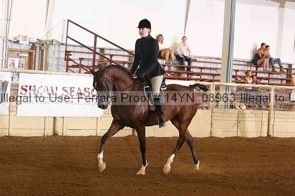Proof 14yn_08963