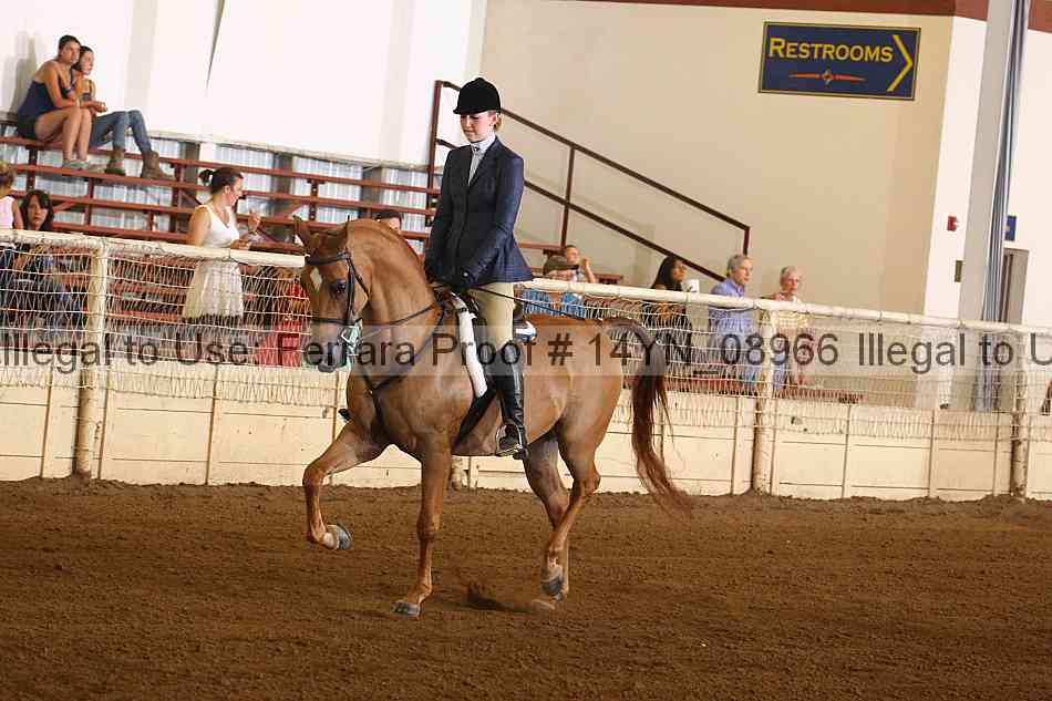 Proof 14yn_08966