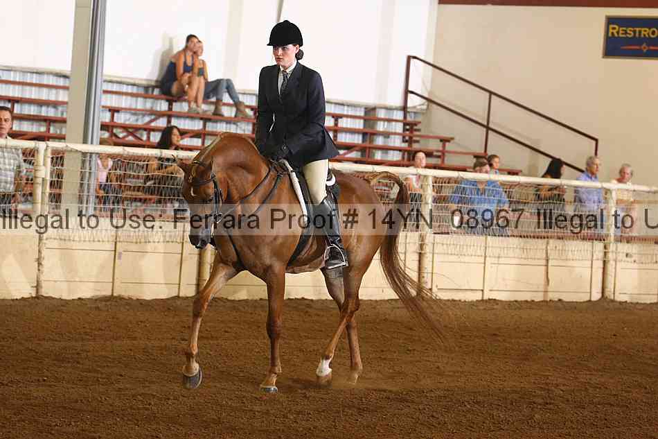 Proof 14yn_08967