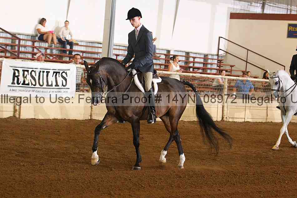 Proof 14yn_08972