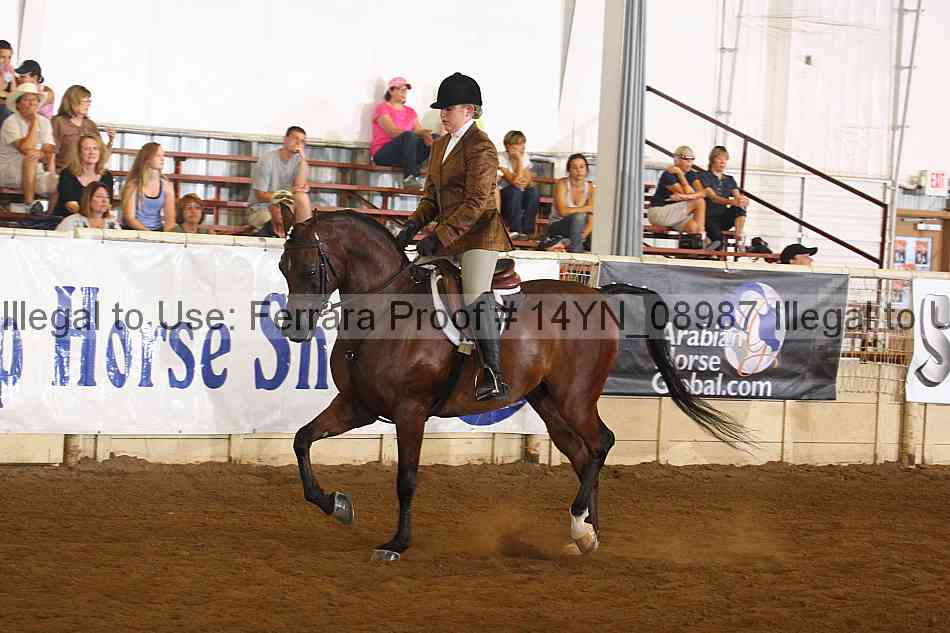 Proof 14yn_08987
