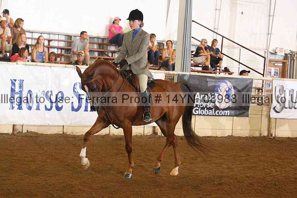 Proof 14yn_08988