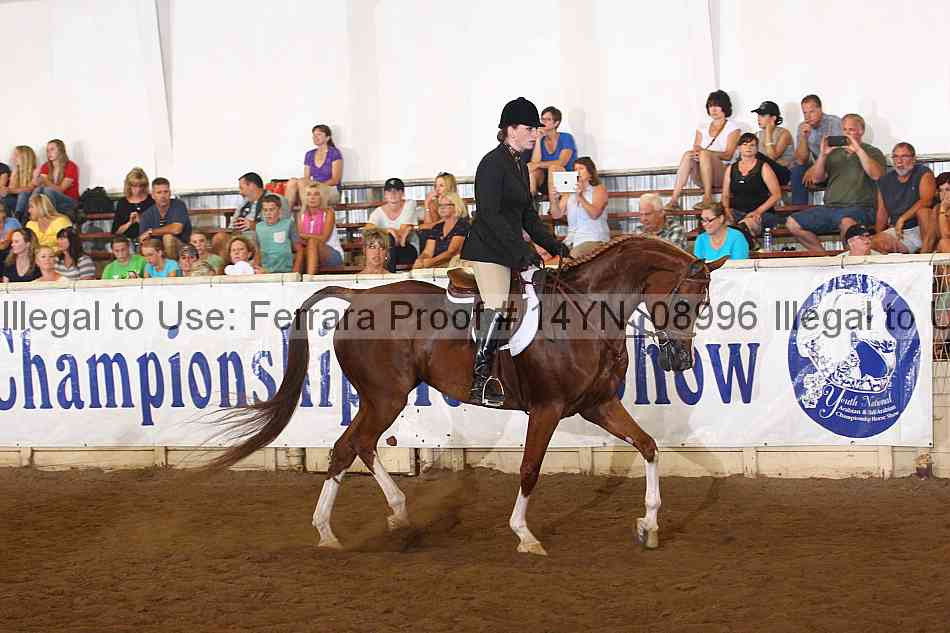 Proof 14yn_08996