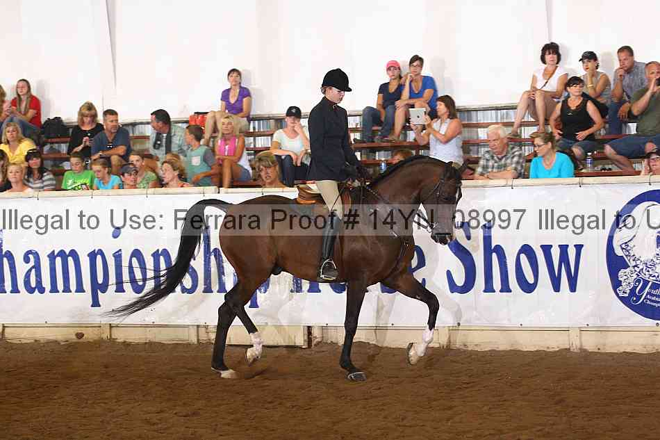 Proof 14yn_08997