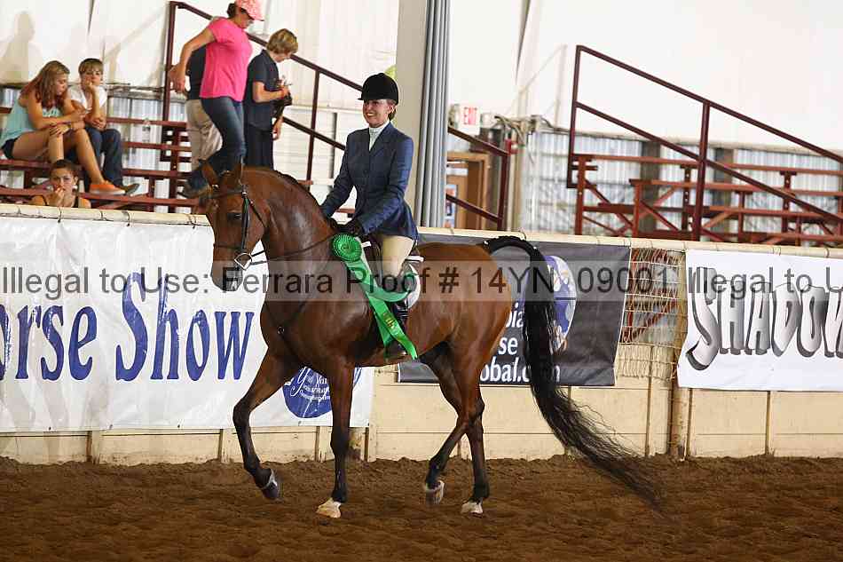 Proof 14yn_09001