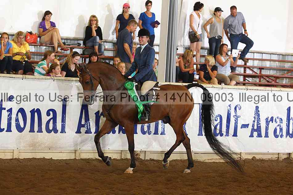 Proof 14yn_09003