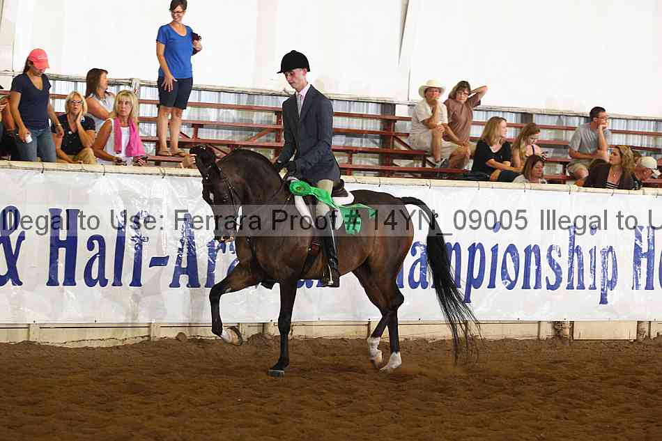 Proof 14yn_09005