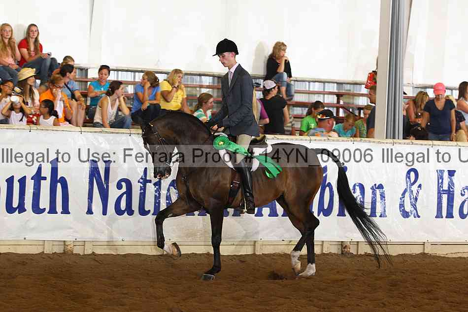 Proof 14yn_09006