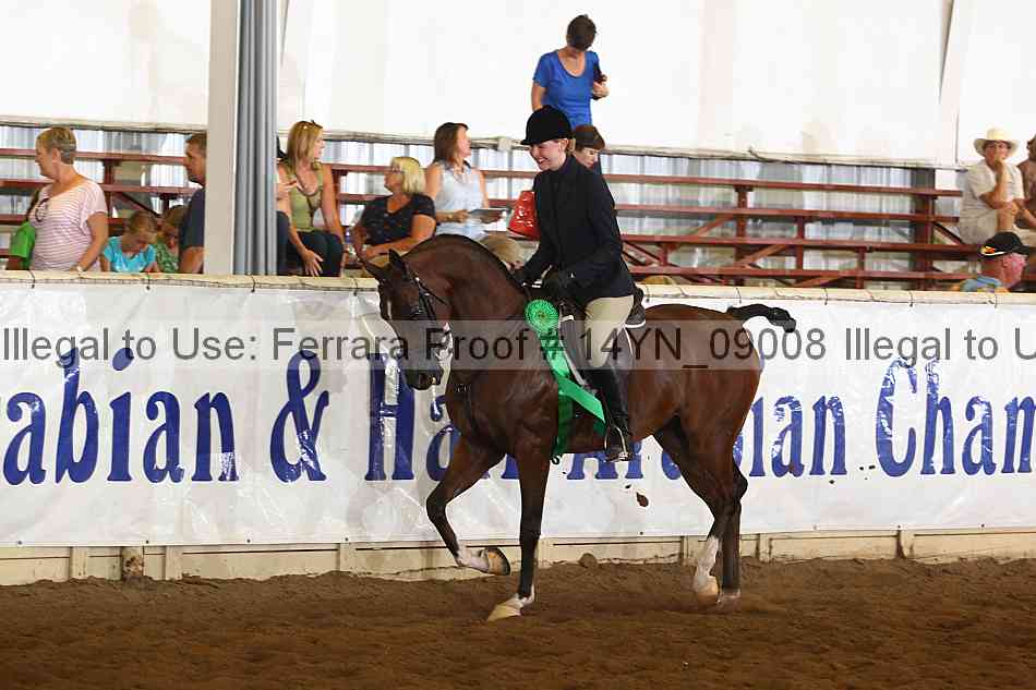 Proof 14yn_09008