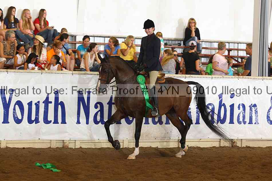 Proof 14yn_09010