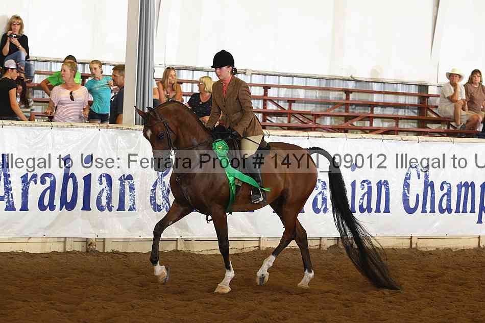 Proof 14yn_09012