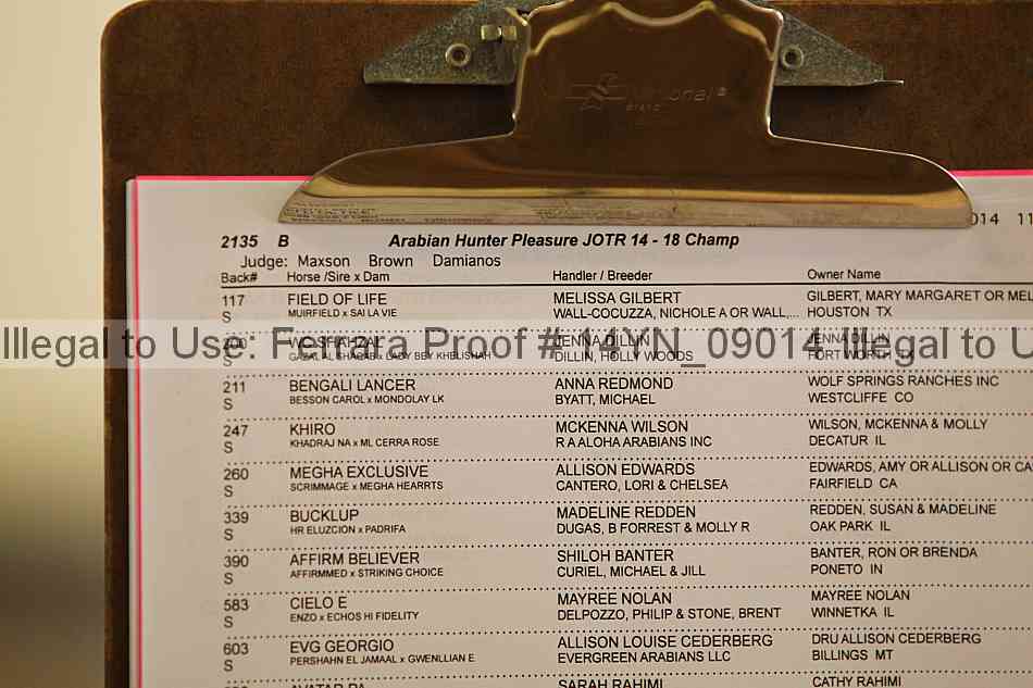Proof 14yn_09014