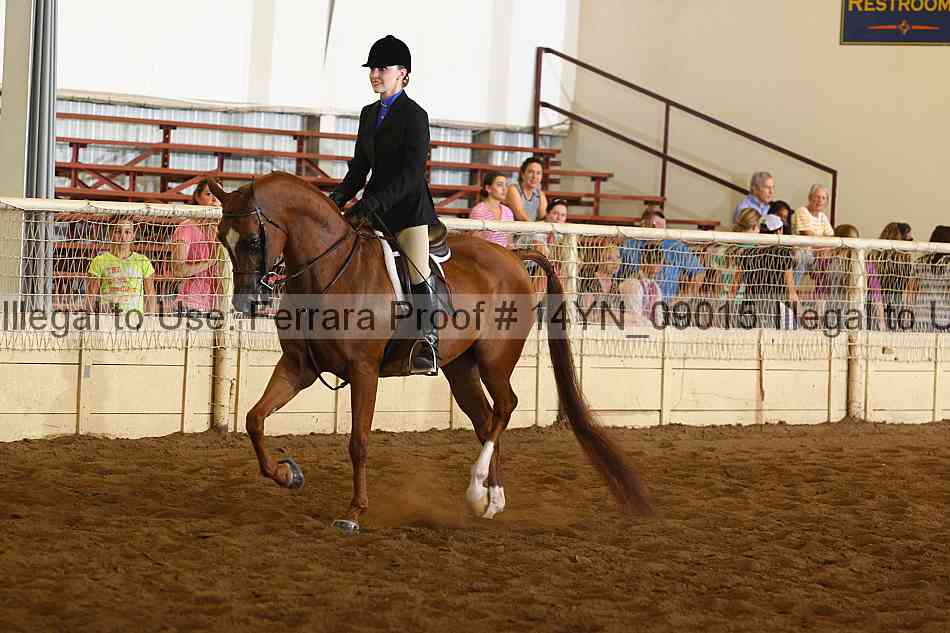 Proof 14yn_09015