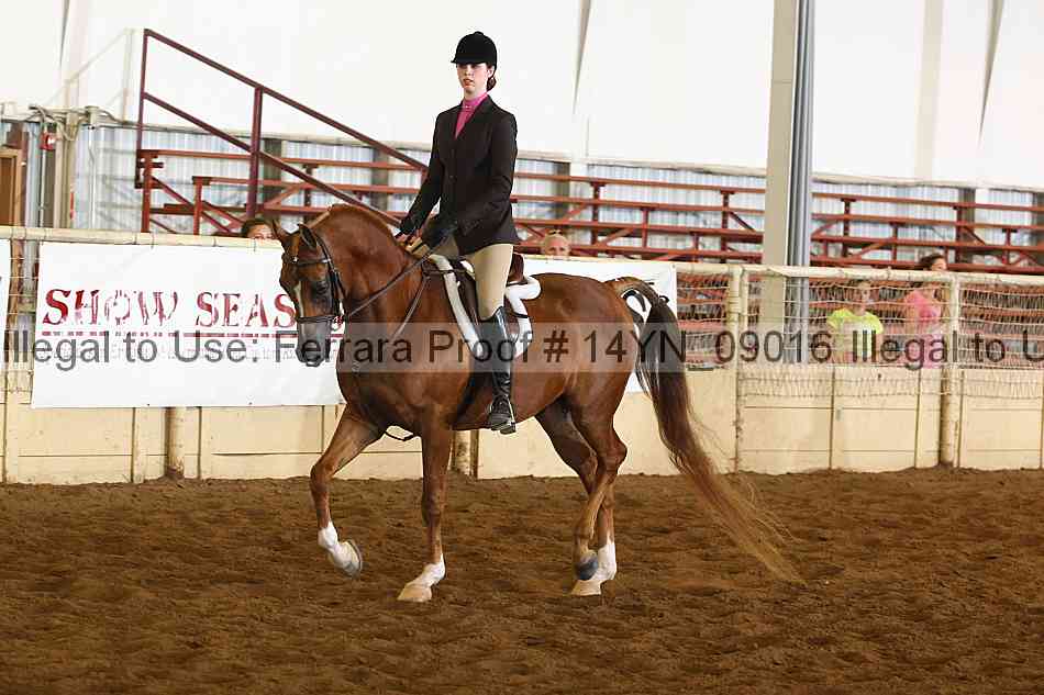 Proof 14yn_09016