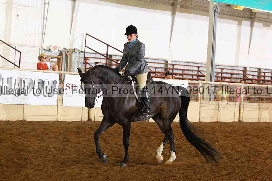 Proof 14yn_09017