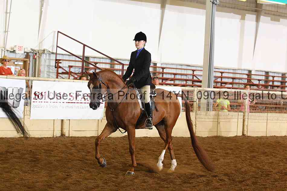 Proof 14yn_09019