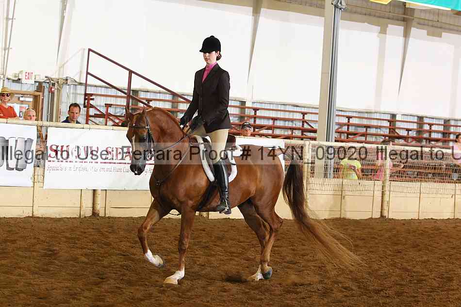 Proof 14yn_09020