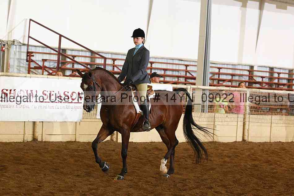 Proof 14yn_09022
