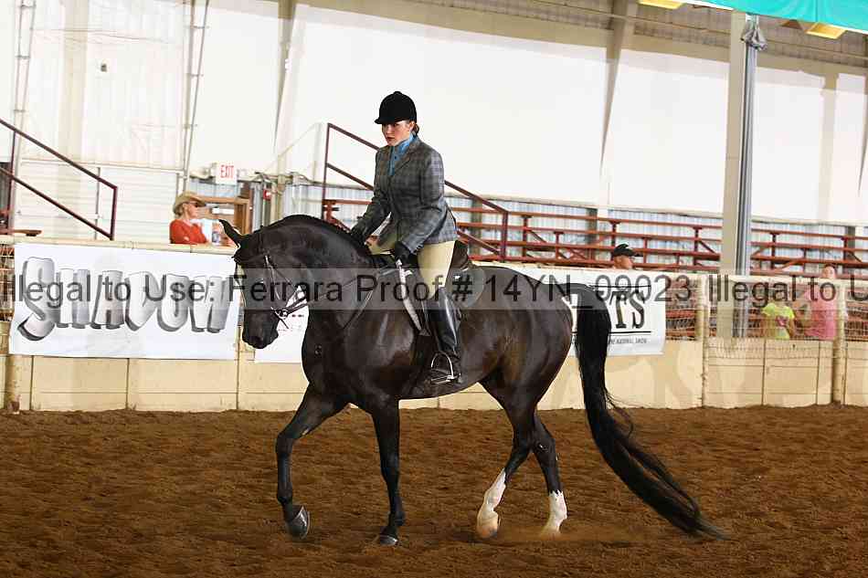Proof 14yn_09023