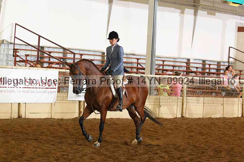 Proof 14yn_09024