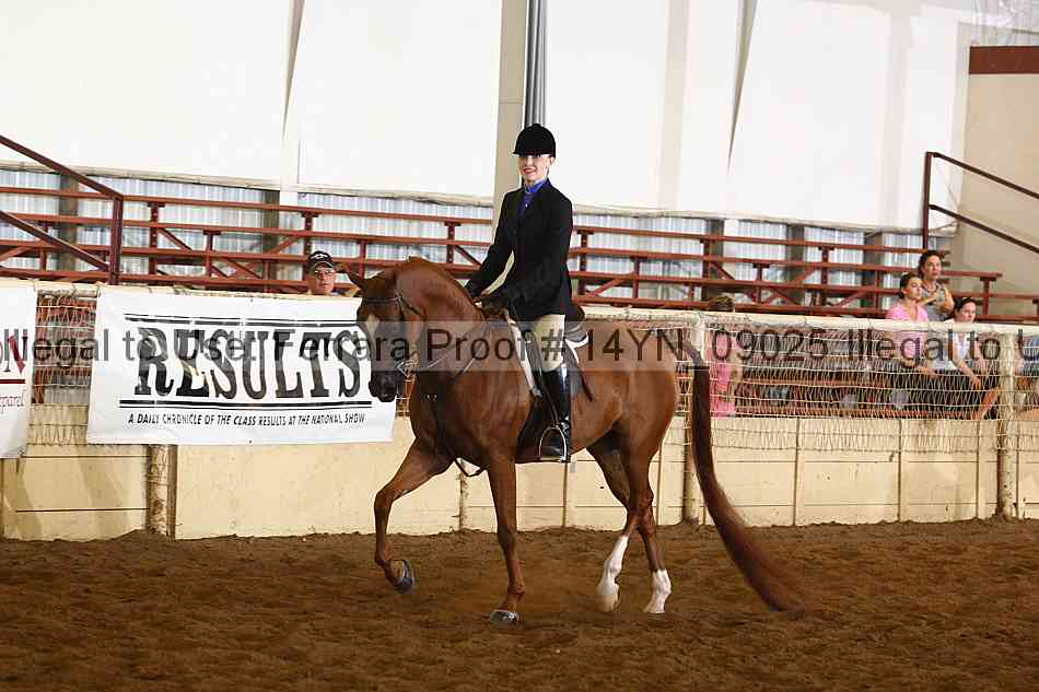 Proof 14yn_09025