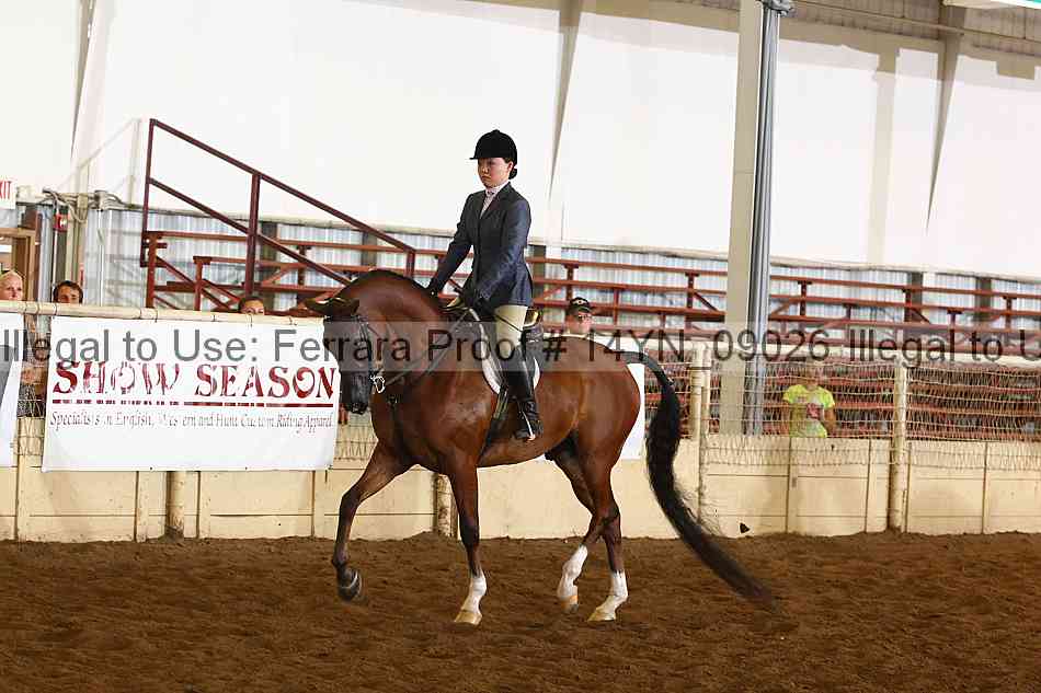 Proof 14yn_09026