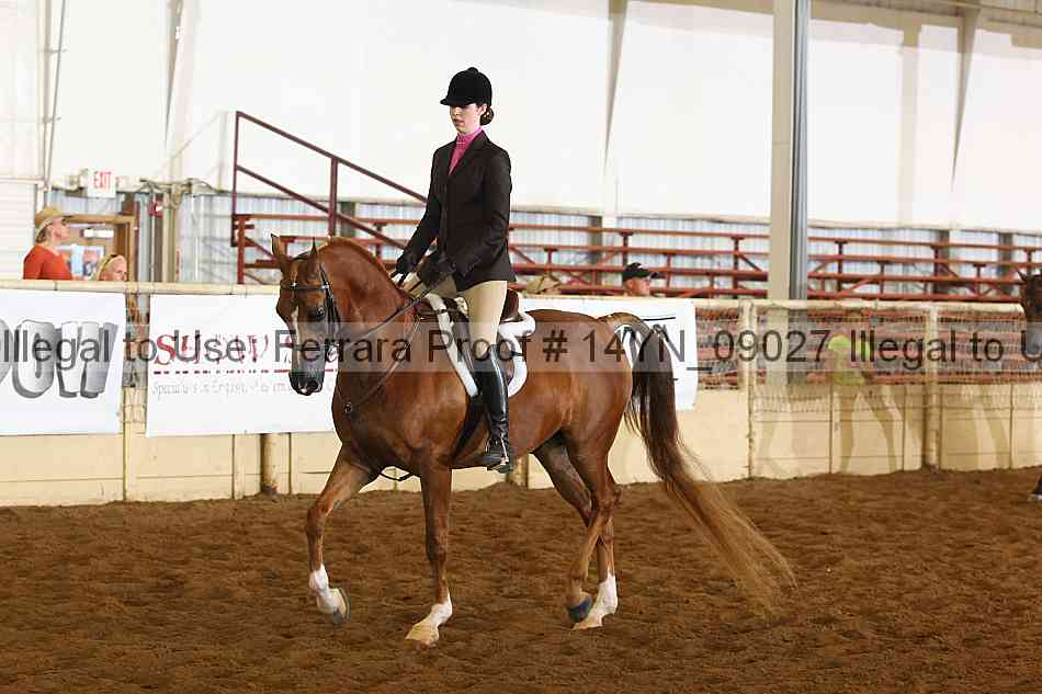 Proof 14yn_09027