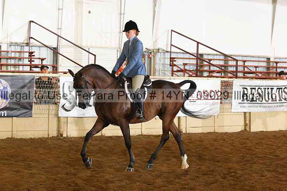 Proof 14yn_09029