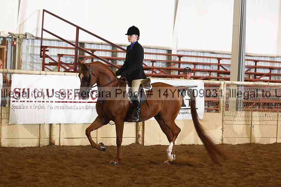 Proof 14yn_09031